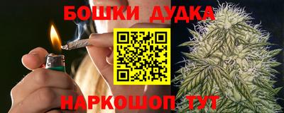 стаф Будённовск