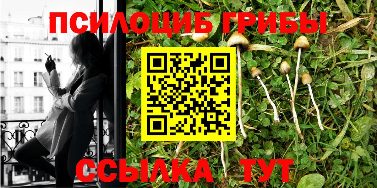 Электрогорск  Галлюциногенные грибы MAGIC MUSHROOMS  Вход с VPN 
